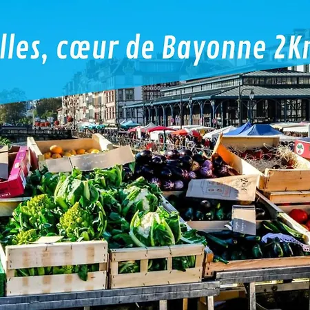 Patio Arena, Classe 2 Etoiles, Balcon, Wifi * Bayonne